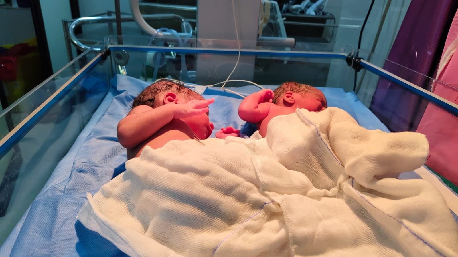 Twin newborns resting in a cot
